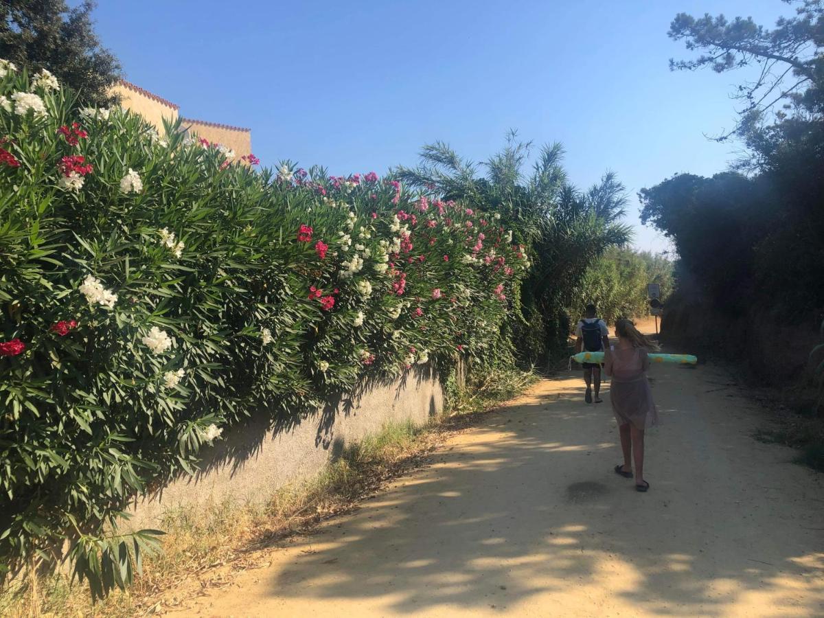 La Corse Tranquille 300M De La Plage Et Piscine Linguizzetta Kültér fotó